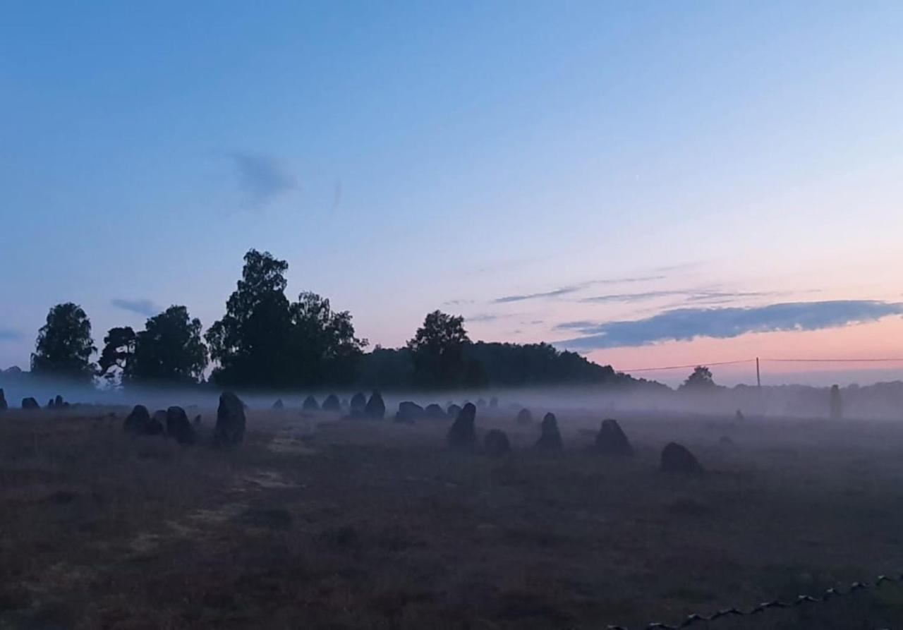 Vittfarnas Hird Vikingaby Bed & Breakfast Sosdala Exterior foto
